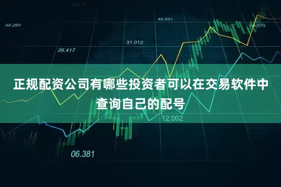 正规配资公司有哪些投资者可以在交易软件中查询自己的配号